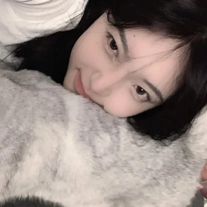 条约